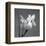 Iris I-Tom Artin-Framed Art Print