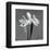 Iris III-Tom Artin-Framed Art Print