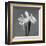 Iris III-Tom Artin-Framed Art Print