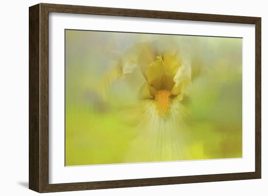 Iris in Lime-Jai Johnson-Framed Giclee Print