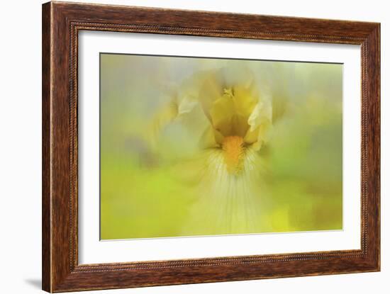 Iris in Lime-Jai Johnson-Framed Giclee Print