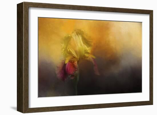 Iris in Miss Junes Garden-Jai Johnson-Framed Giclee Print