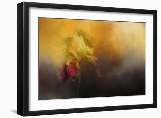 Iris in Miss Junes Garden-Jai Johnson-Framed Giclee Print