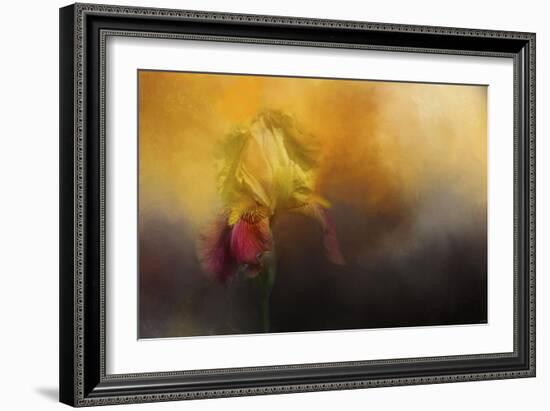 Iris in Miss Junes Garden-Jai Johnson-Framed Giclee Print