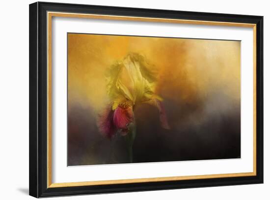 Iris in Miss Junes Garden-Jai Johnson-Framed Giclee Print