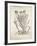 Iris (Iride Domestica), by Pier Andrea Mattioli, 1554-null-Framed Giclee Print