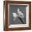 Iris IV-Tom Artin-Framed Art Print