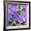 Iris Love-Herb Dickinson-Framed Photographic Print