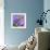 Iris Love-Herb Dickinson-Framed Photographic Print displayed on a wall