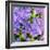 Iris Love-Herb Dickinson-Framed Photographic Print