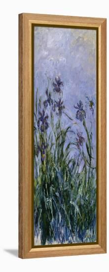 Iris Mauves, 1914-1917-Claude Monet-Framed Premier Image Canvas