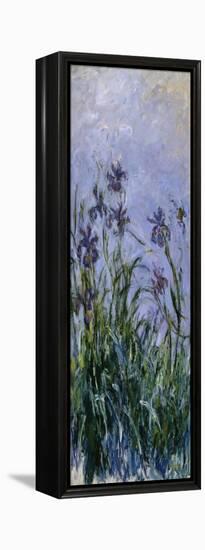 Iris Mauves, 1914-1917-Claude Monet-Framed Premier Image Canvas