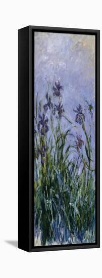 Iris Mauves, 1914-1917-Claude Monet-Framed Premier Image Canvas