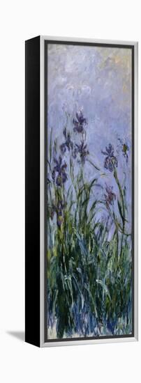 Iris Mauves, 1914-1917-Claude Monet-Framed Premier Image Canvas