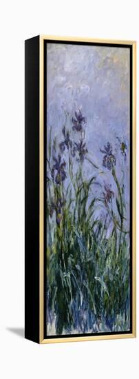 Iris Mauves, 1914-1917-Claude Monet-Framed Premier Image Canvas