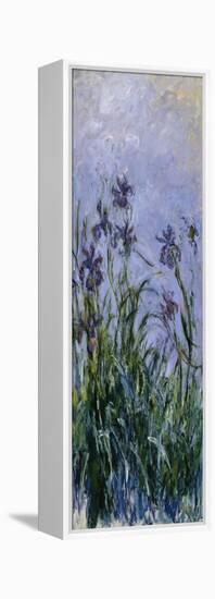 Iris Mauves, 1914-1917-Claude Monet-Framed Premier Image Canvas