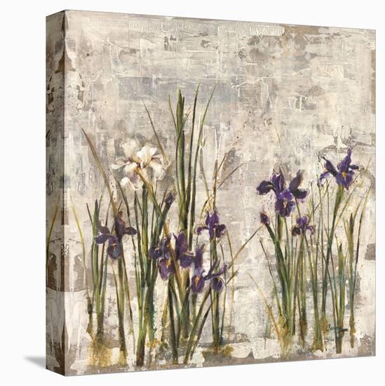 Iris Mist II-Carney-Framed Stretched Canvas