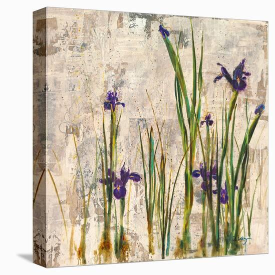 Iris Mist-Carney-Framed Stretched Canvas