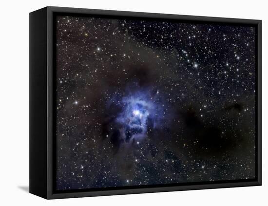 Iris Nebula-Stocktrek Images-Framed Premier Image Canvas