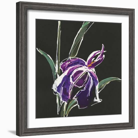 Iris on Black III-Chris Paschke-Framed Art Print