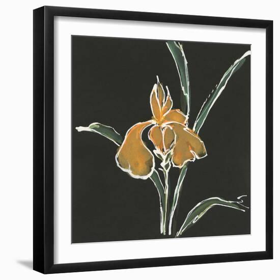 Iris on Black VI-Chris Paschke-Framed Art Print
