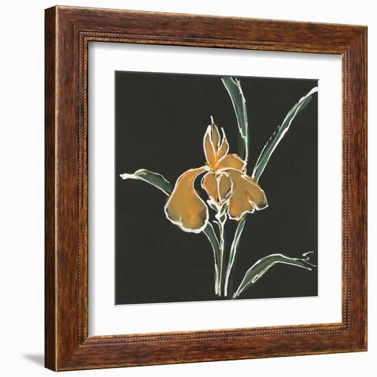 Iris on Black VI-Chris Paschke-Framed Art Print