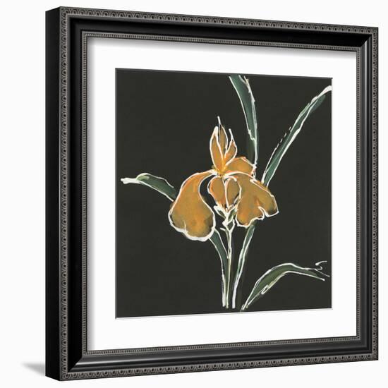 Iris on Black VI-Chris Paschke-Framed Art Print