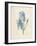 Iris Pallida-Pierre-Joseph Redouté-Framed Giclee Print