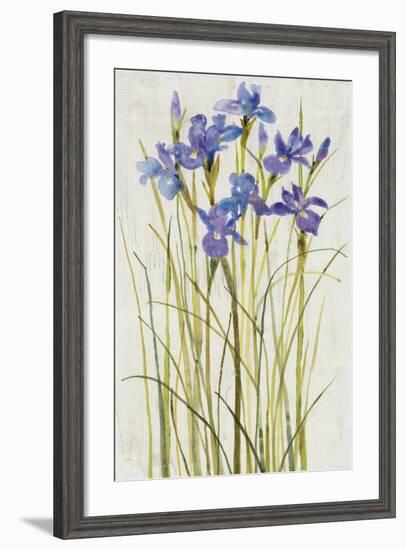 Iris Patch I-Tim OToole-Framed Art Print