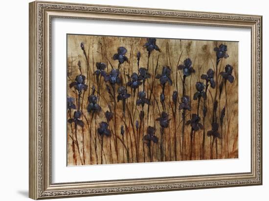 Iris Pattern-Tim O'toole-Framed Giclee Print