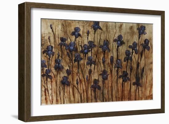 Iris Pattern-Tim O'toole-Framed Giclee Print