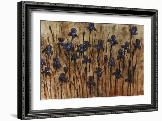 Iris Pattern-Tim O'toole-Framed Giclee Print