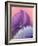 Iris Petal Close-up-Nancy Rotenberg-Framed Photographic Print