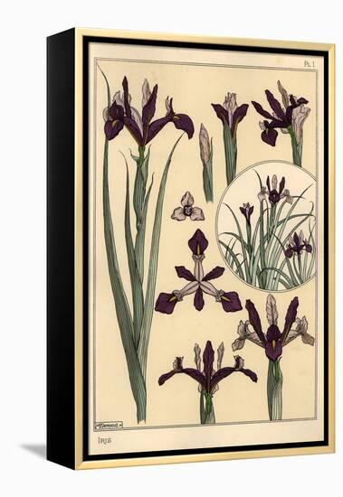 Iris Plant and Flower Parts, with Inset, 1897 (Lithograph)-Eugene Grasset-Framed Premier Image Canvas