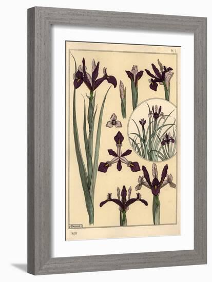 Iris Plant and Flower Parts, with Inset, 1897 (Lithograph)-Eugene Grasset-Framed Giclee Print