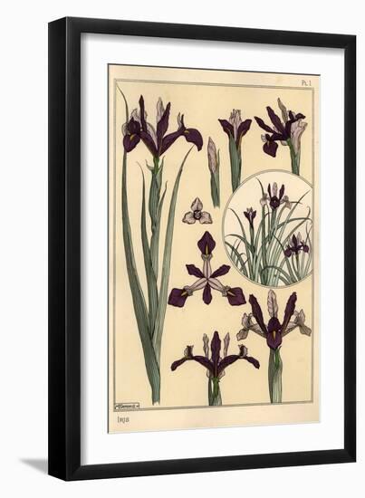 Iris Plant and Flower Parts, with Inset, 1897 (Lithograph)-Eugene Grasset-Framed Giclee Print