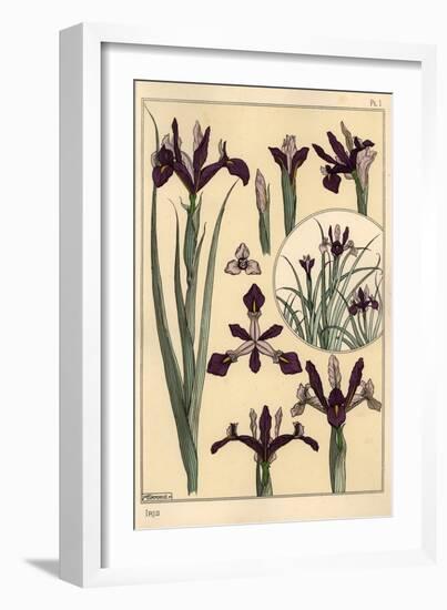 Iris Plant and Flower Parts, with Inset, 1897 (Lithograph)-Eugene Grasset-Framed Giclee Print