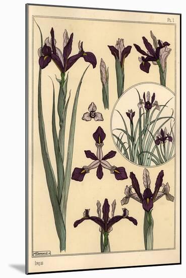 Iris Plant and Flower Parts, with Inset, 1897 (Lithograph)-Eugene Grasset-Mounted Giclee Print