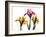 Iris Portrait-Albert Koetsier-Framed Art Print