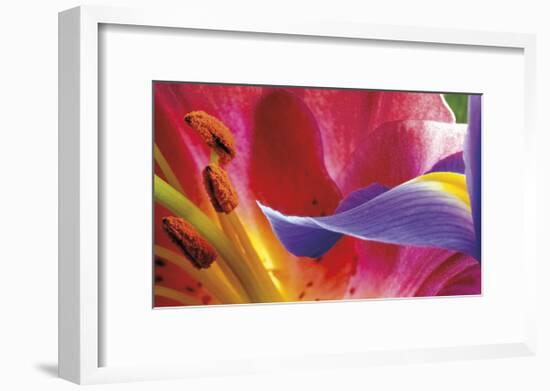 Iris Reaching-Harold Davis-Framed Giclee Print