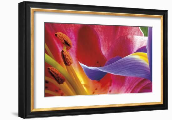 Iris Reaching-Harold Davis-Framed Giclee Print