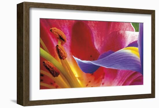 Iris Reaching-Harold Davis-Framed Giclee Print