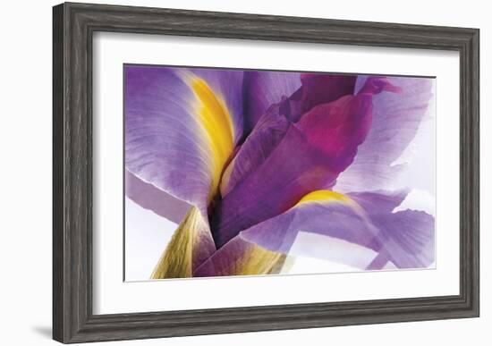 Iris Rising-Harold Davis-Framed Giclee Print