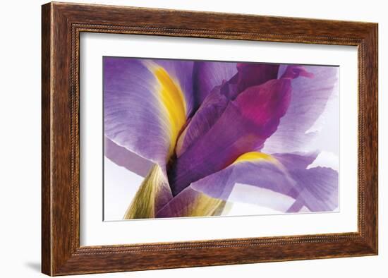 Iris Rising-Harold Davis-Framed Giclee Print