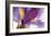 Iris Rising-Harold Davis-Framed Giclee Print