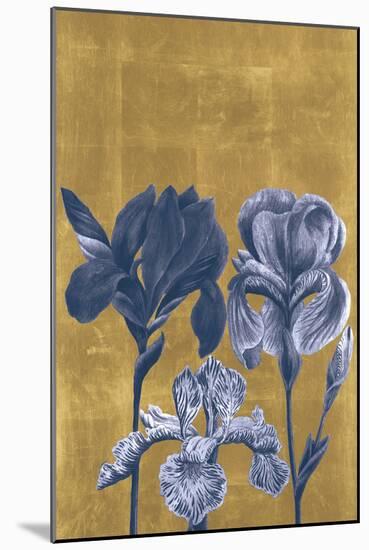 Iris Shimmering-Joseph Weinmann-Mounted Art Print