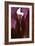 Iris Shrine Purple, 2011-Julia McLemore-Framed Photographic Print