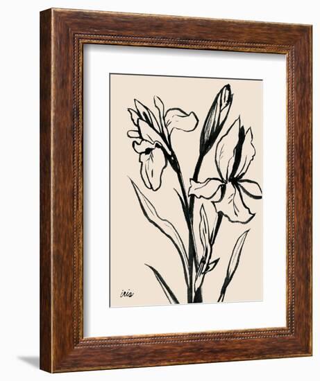 Iris Sketch IV-Grace Popp-Framed Art Print