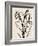 Iris Sketch IV-Grace Popp-Framed Art Print