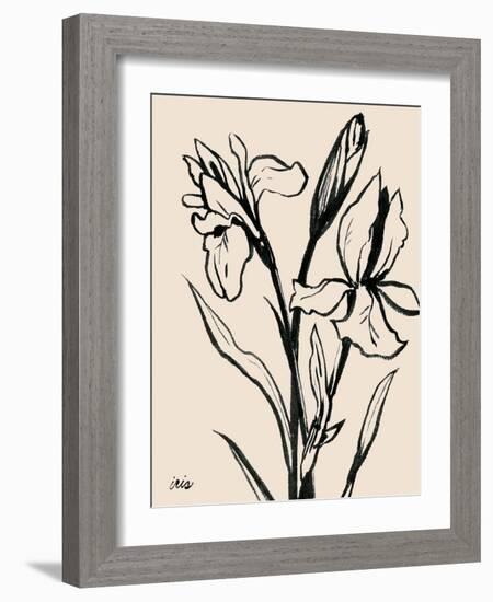 Iris Sketch IV-Grace Popp-Framed Art Print